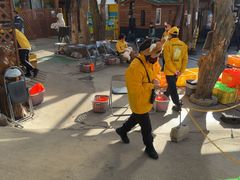 -宫城藏王狐狸村