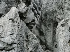 -千岛湖石林