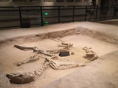 -洛阳周王城天子驾六博物馆