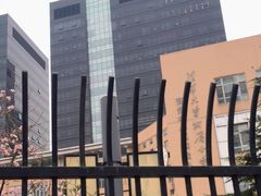 -清华大学附属小学商务中心区实验小学