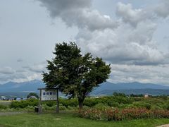 -富田农场
