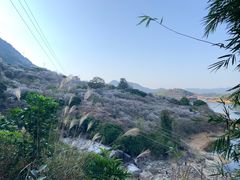 -广州市流溪河国家森林公园