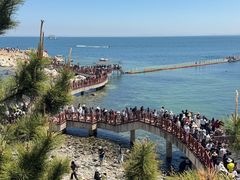 -养马岛旅游度假区