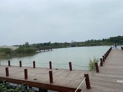-西京湾花海