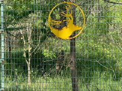 -北京麋鹿生态实验中心