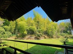 -兰亭风景区