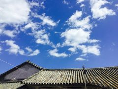 -啊马英豌豆粉