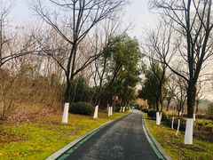 -大蜀山国家森林公园