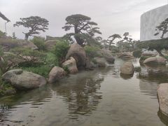 -罗红摄影艺术馆