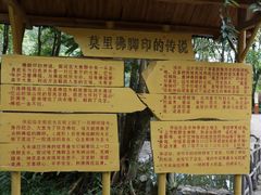 -莫里热带雨林景区