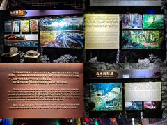 -乐山乌木文化博览苑