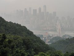 -南山植物园