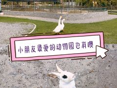 -前小桔亲子创意农场·草莓采摘·露营烧烤