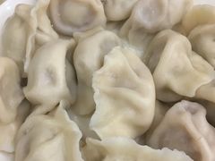 猪肉大葱水饺-东北饺子馆(马尾君竹店)