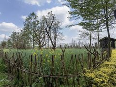 -夏河溪乡野公园