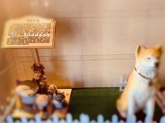 -大江户·温泉洗浴(浑南店)