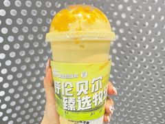 -茉酸奶(春熙路店)