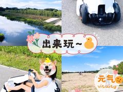 -东郊湿地公园