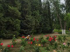 -莲花池公园