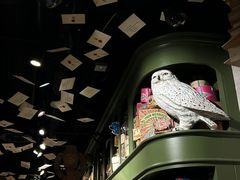 -九又四分之三站台哈利波特商店
