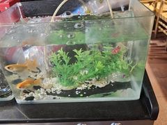 -老五烧烤(石牌岭店)