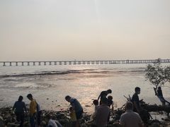 -宝安西湾红树林湿地公园