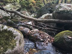 -丹东天桥沟景区
