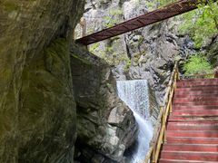 -牛背梁国家森林公园