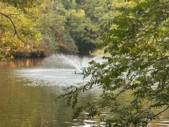 -东湖落雁景区