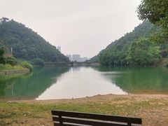 -桃花岭景区