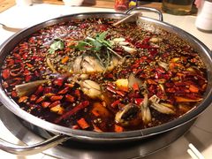 -味之绝热血美蛙鱼火锅(中坝店)