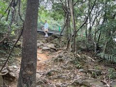 -梧桐山风景名胜区