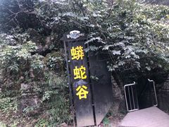 -梦幻奥陶纪景区