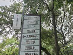 -铁山坪森林公园