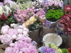 -双季花艺园艺市场(浦东店)