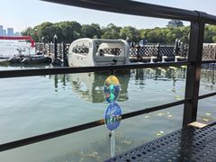 -金鸡湖桃花岛
