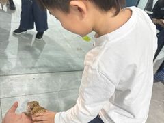 -上海昆虫博物馆