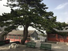 -妙峰山风景名胜区