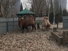 -长白岛森林公园