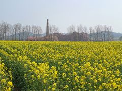 -西海岸生态观光园