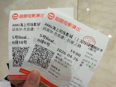 -AMG海上明珠影城(上海环球港RealDCinema店)