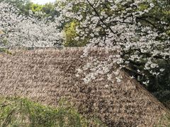 -中国茶叶博物馆(双峰馆区)