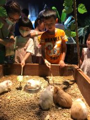 -酷嗒动物文化乐园(cutezoo西溪乐天城店)