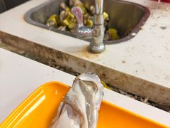 -养牛邓·潮汕牛肉海鲜自助火锅(广州店)