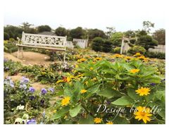 -广东花都香草世界旅游度假区