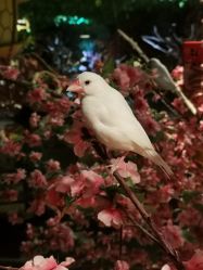 -酷嗒动物文化乐园(cutezoo西溪乐天城店)