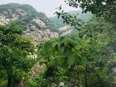-都江堰石锅鱼