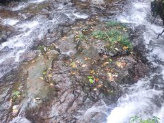 -龙苍沟森林公园