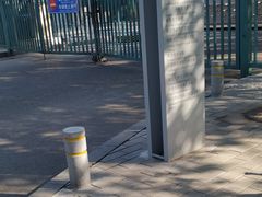 -三里屯东五街银杏大道