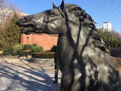 -元大都城垣遗址公园